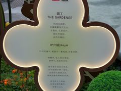 -丰盛里