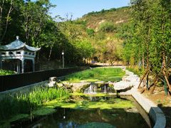 -白水寺森林公园