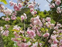 -贵阳市花溪国家城市湿地公园