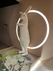 -Oasis Beauty水磨坊科技美肤中心