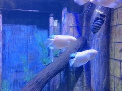 -宁波海洋世界-售票处