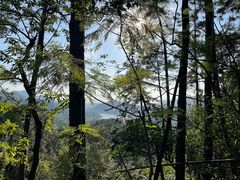 -田心森林公园