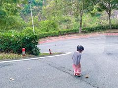 -火炉山森林公园