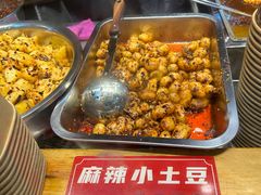 -周小亮丁家坡洋芋(全国总店)