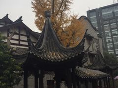 -龙潭水乡