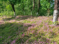 -白鹭湾湿地公园