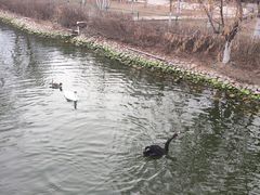 -长白岛森林公园