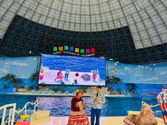 -泉城欧乐堡海洋极地世界