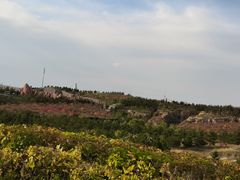 -鄂尔多斯野生动物园