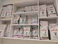 -艾吉宠物医院·疑难杂症转诊中心·猫友好(碧江路院)