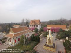-洛阳白马寺