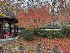 -北岭山森林公园