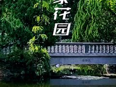 -叶家花园