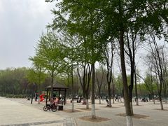 -东升八家郊野公园