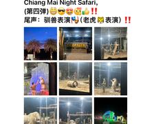 -清迈夜间动物园