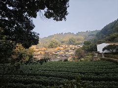 -杨家堂村