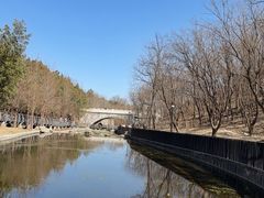 -白水寺森林公园