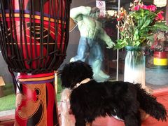 -如意林卡藏餐吧(大昭寺店)