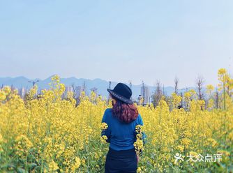 看油菜花？重庆复盛欢迎你（怀念篇）