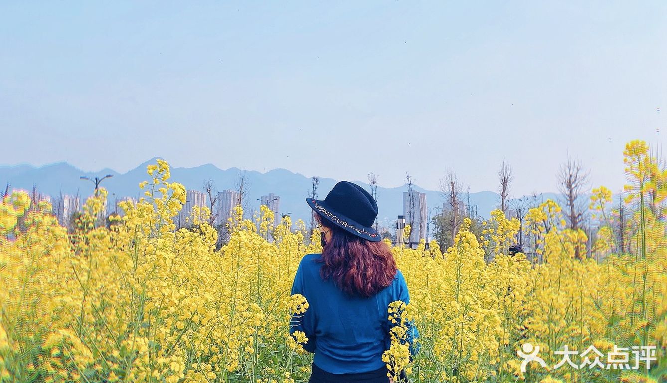 看油菜花？重庆复盛欢迎你（怀念篇）