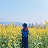 看油菜花？重庆复盛欢迎你（怀念篇）