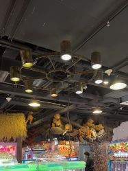 -卡通尼·Safari非洲探索乐园·生日会(金桥国际商业广场店)