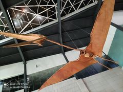 -湖南省地质博物馆