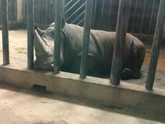 -石家庄市动物园