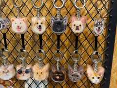 -和它·交个朋友·狗咖猫咖(爱琴海店)