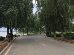 -丁香湖公园