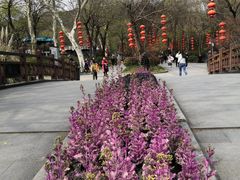 -惠山国家森林公园