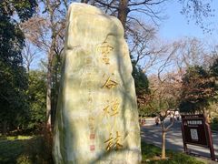 -灵谷景区