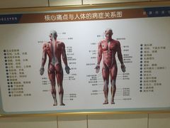 -通透堂中医·精准推拿(旗舰店)