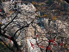 -泰山风景名胜区