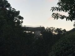 -飞凤山奥体公园