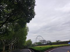 -宜兴龙背山森林公园