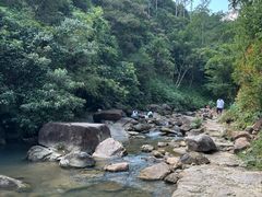 -广州白江湖森林公园