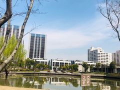 -南翔镇银翔湖公园