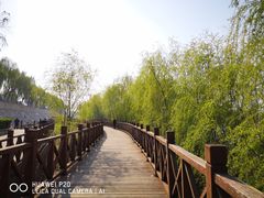 -沙澧河风景区