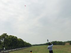 -漕湖湿地公园