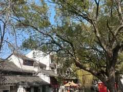 -练塘古镇