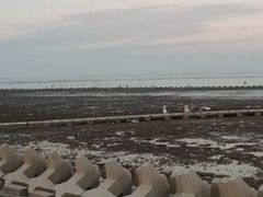 -南汇嘴观海公园