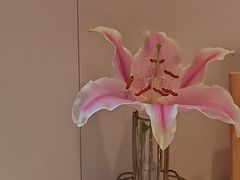 -沈师傅四季烤鸭小馆(中科紫峰店)