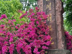 -四川博物院