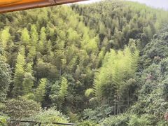 -将军关探险漂流