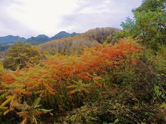 -玉渡山自然风景区