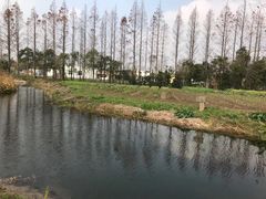 -前小桔亲子创意农场·草莓采摘·露营烧烤