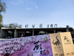 -自然谷恐龙园