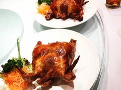 -詠春园