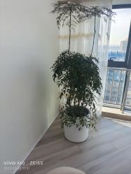 -HEYAN荷妍专业脱毛连锁机构